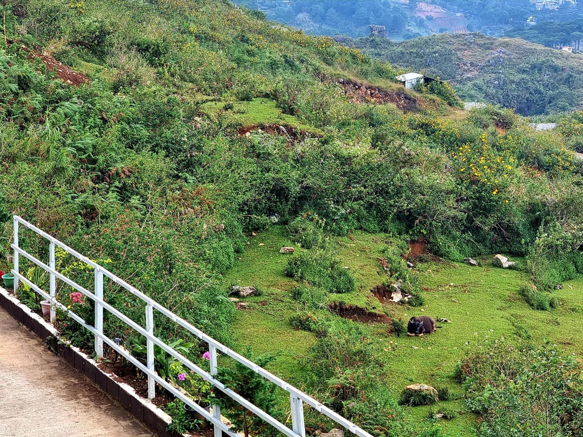 Wanay'S Rocky Mountain Homestay Baguio City Exterior photo